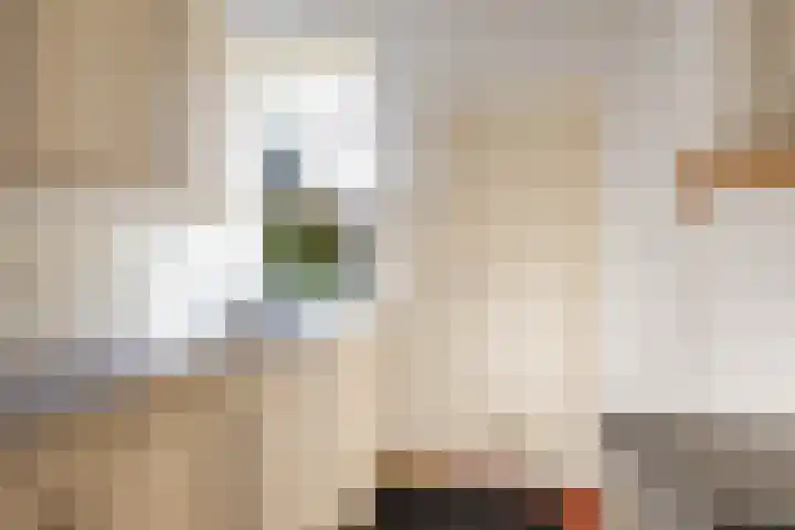 Singel 23 Stedum thumbnail 17