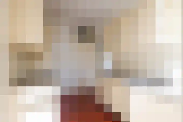 Singel 23 Stedum thumbnail 18