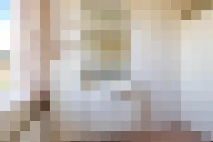 Singel 23 Stedum thumbnail 33