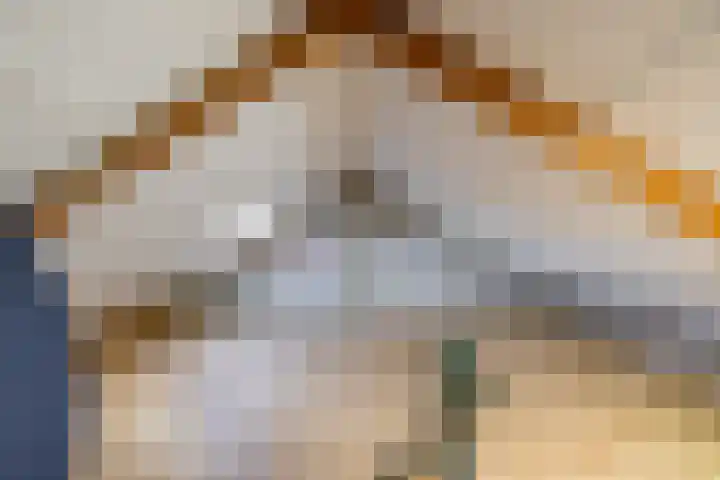 Singel 23 Stedum thumbnail 37