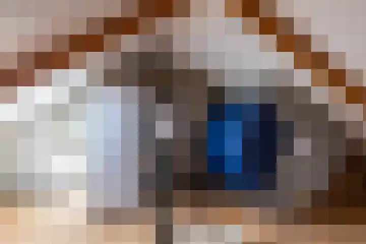 Singel 23 Stedum thumbnail 39