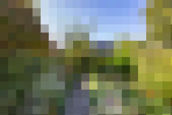 Singel 23 Stedum thumbnail 4