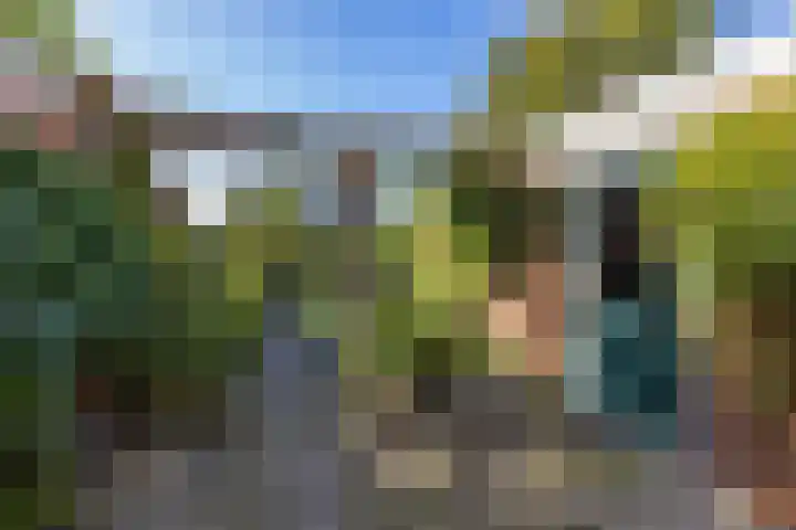 Singel 23 Stedum thumbnail 42