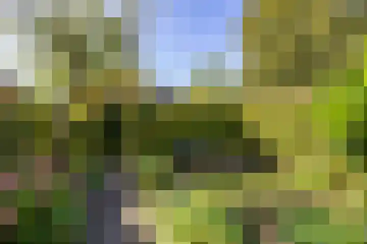 Singel 23 Stedum thumbnail 44