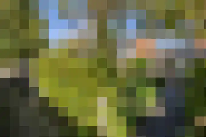 Singel 23 Stedum thumbnail 45