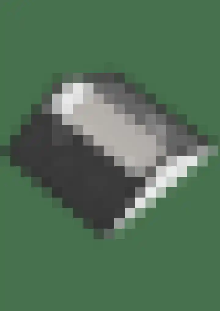 Singel 23 Stedum thumbnail 49