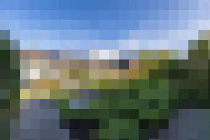 Singel 23 Stedum thumbnail 6
