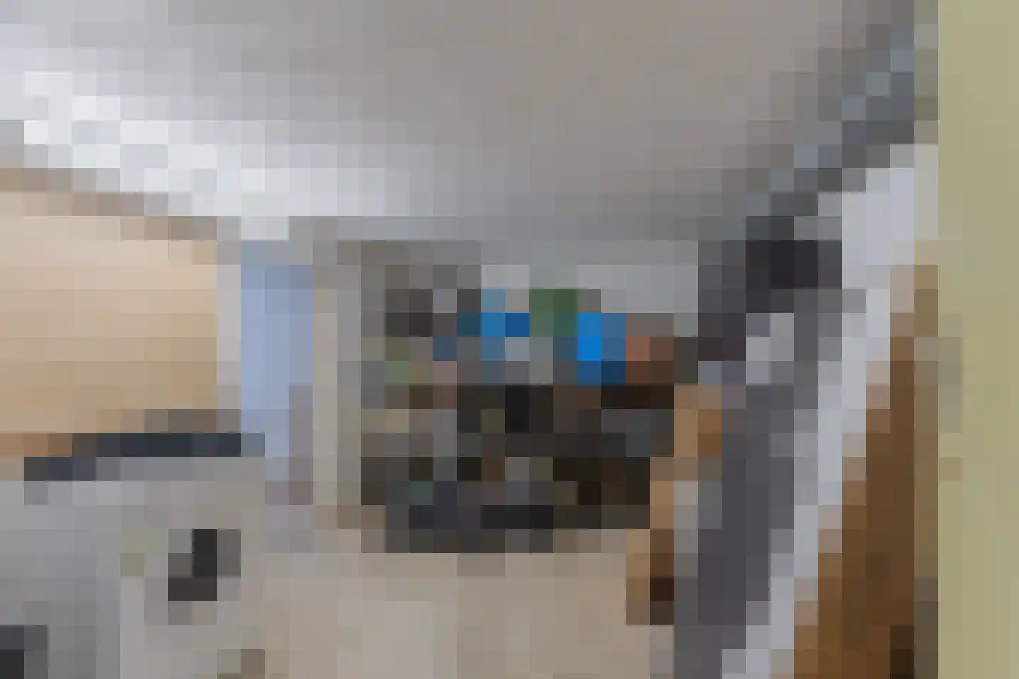 Singel 237 Vlissingen thumbnail 34