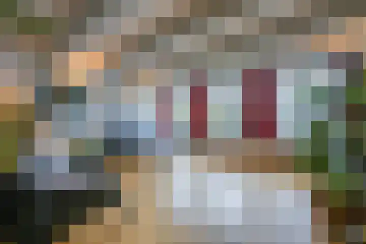 Singel 238 C Amsterdam thumbnail 10