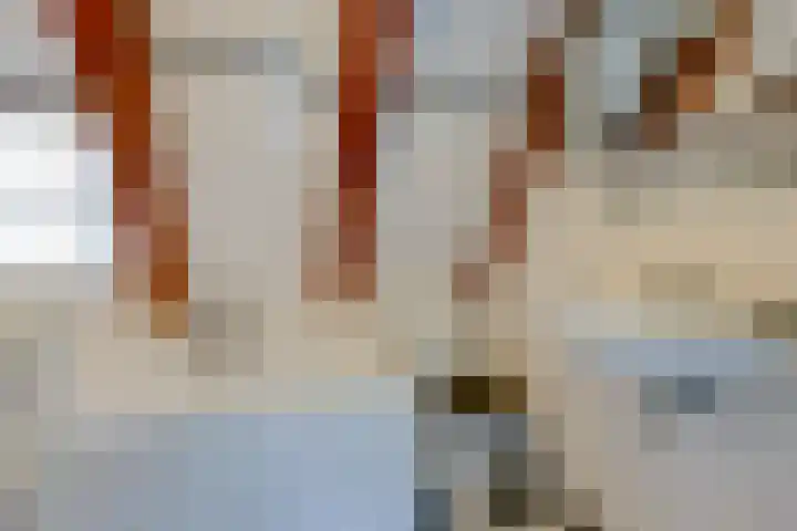 Singel 238 C Amsterdam thumbnail 15