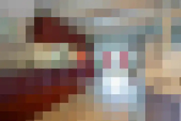 Singel 238 C Amsterdam thumbnail 9