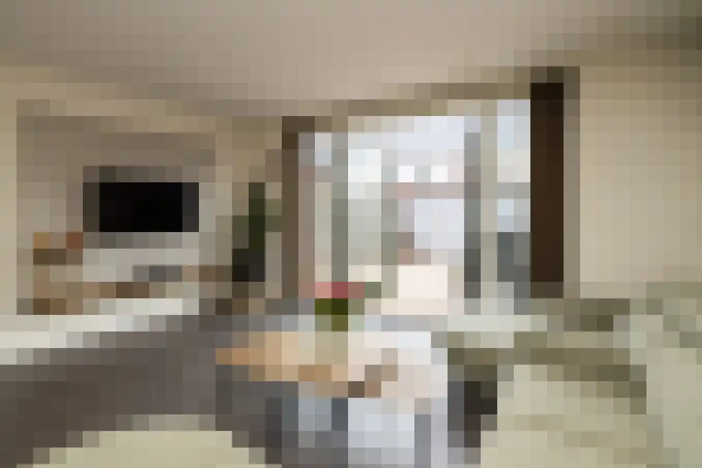 Singel 24 Wateringen thumbnail 10