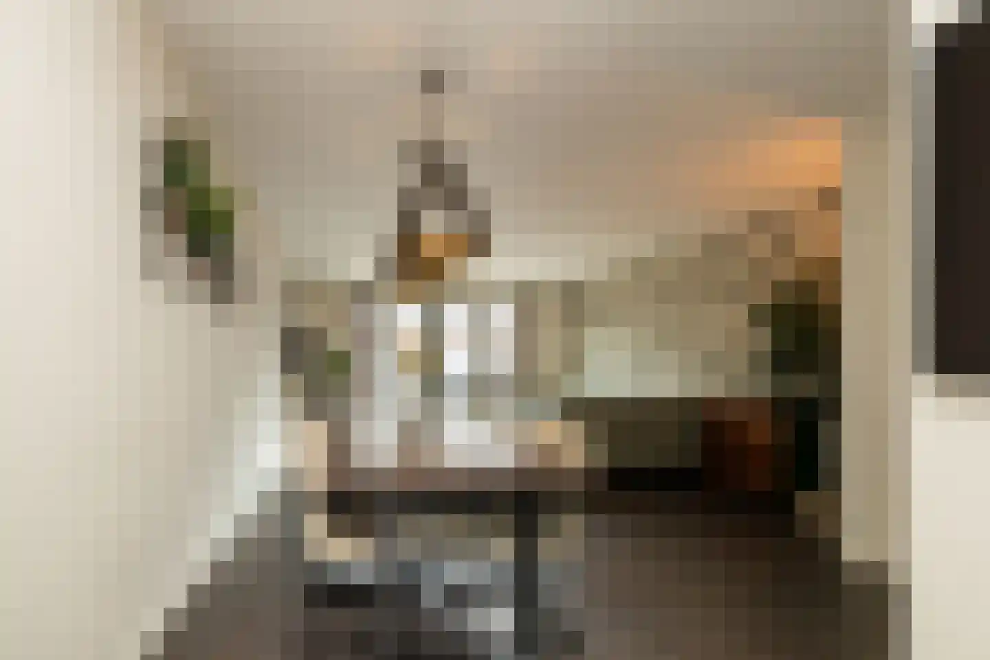 Singel 24 Wateringen thumbnail 13