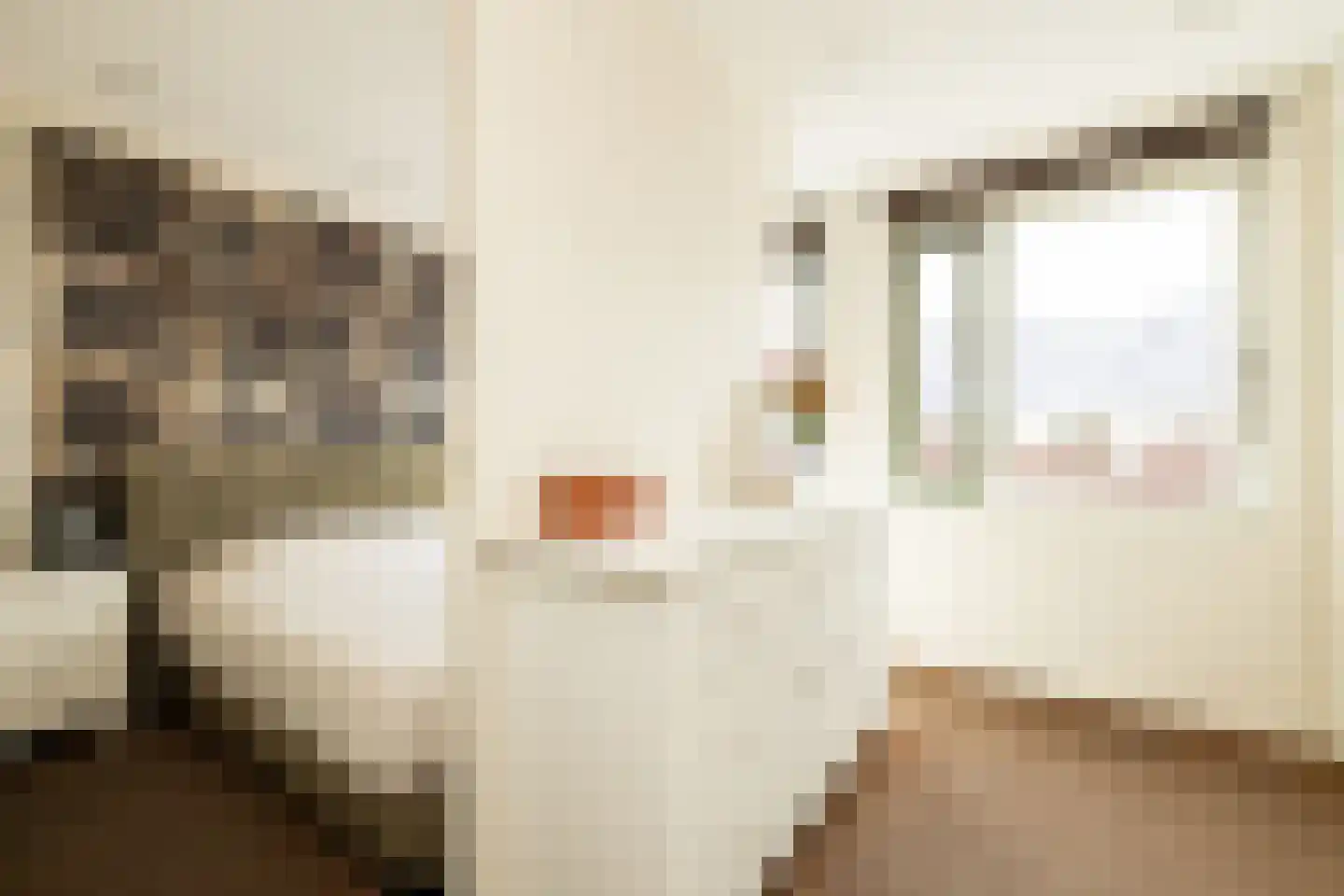 Singel 24 Wateringen thumbnail 19