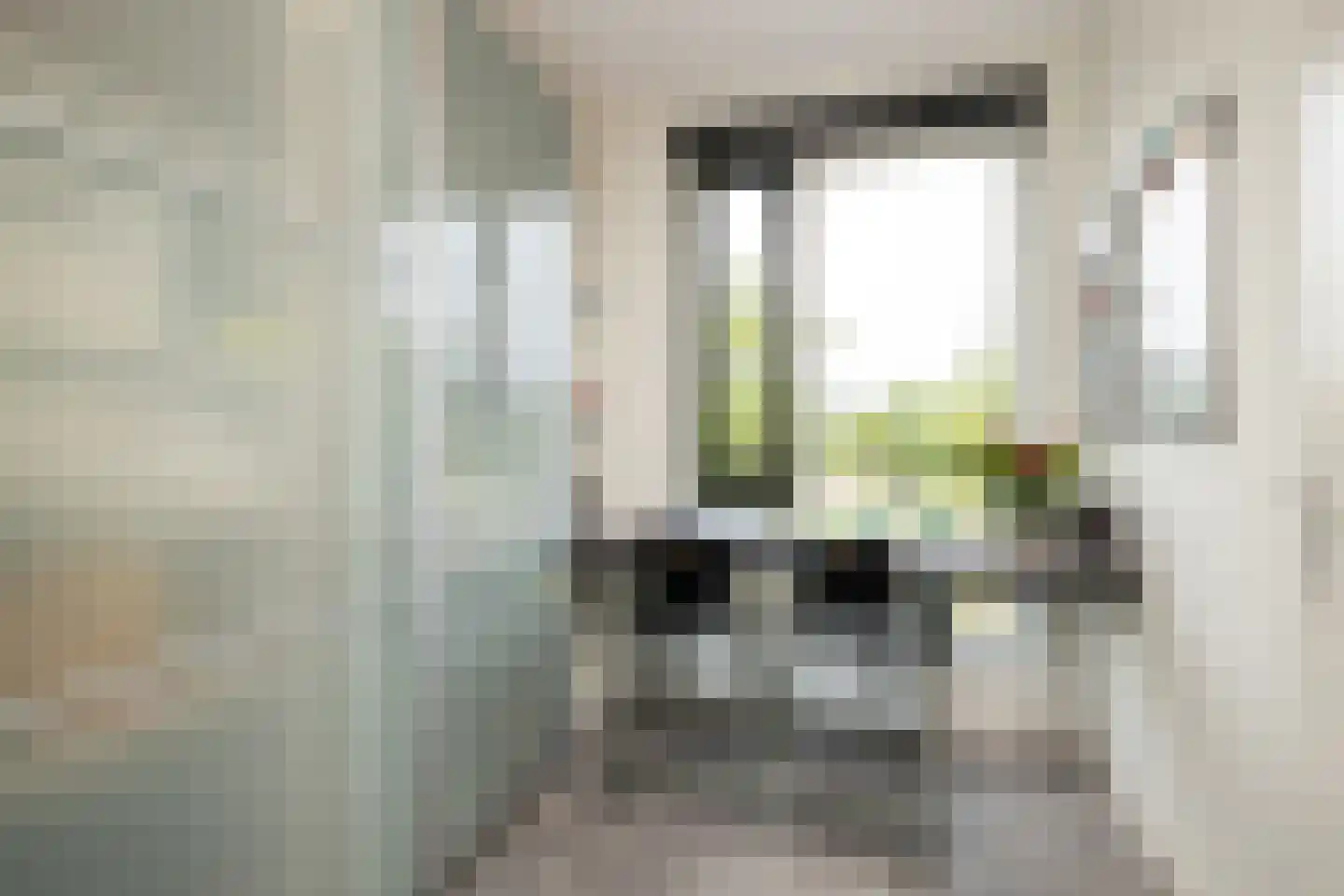Singel 24 Wateringen thumbnail 27