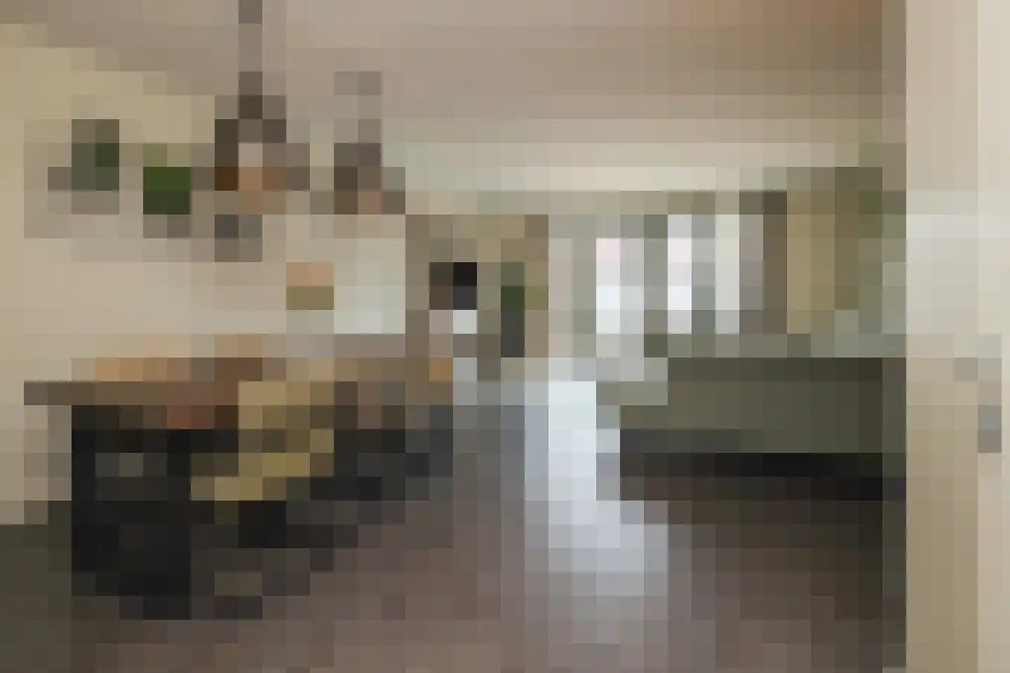 Singel 24 Wateringen thumbnail 8