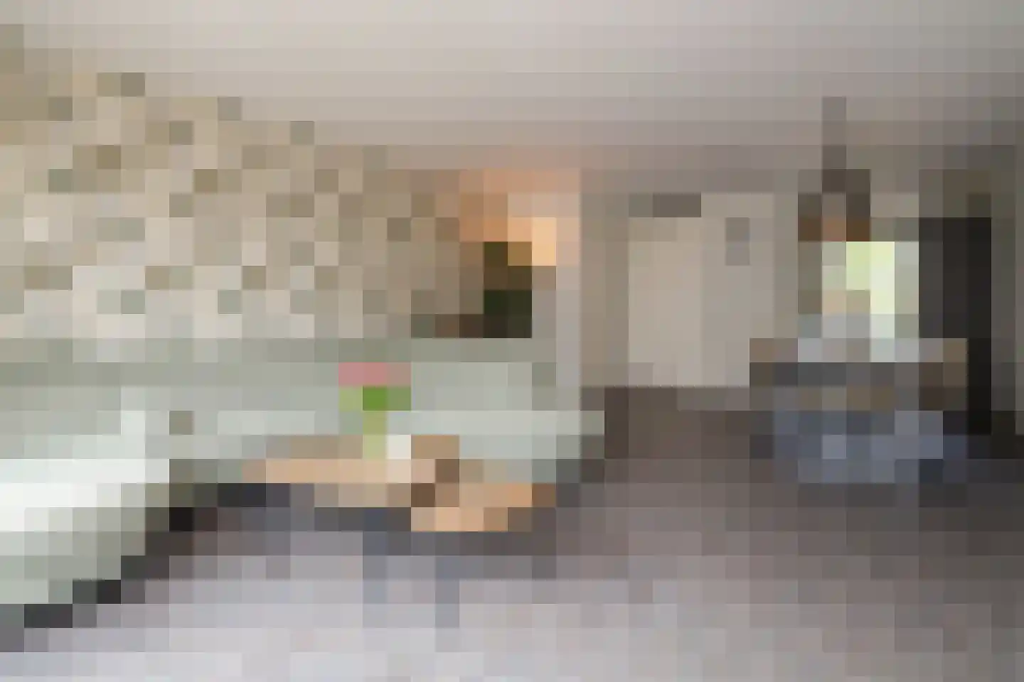 Singel 24 Wateringen thumbnail 9