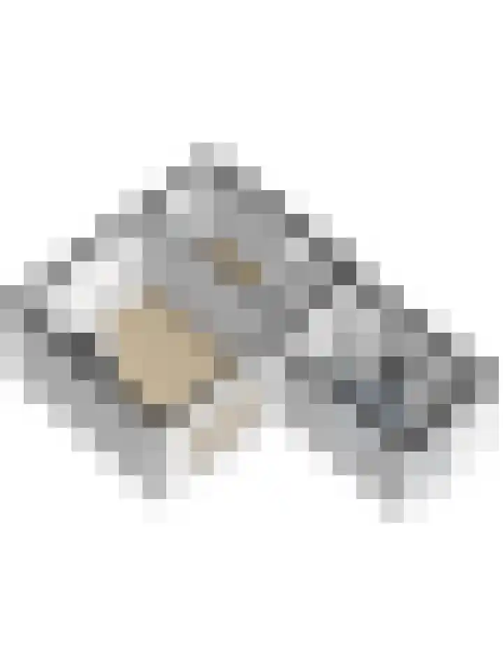 Singel 248 Vlissingen thumbnail 38