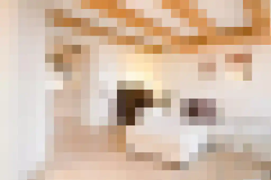 Singel 25 Amsterdam thumbnail 4