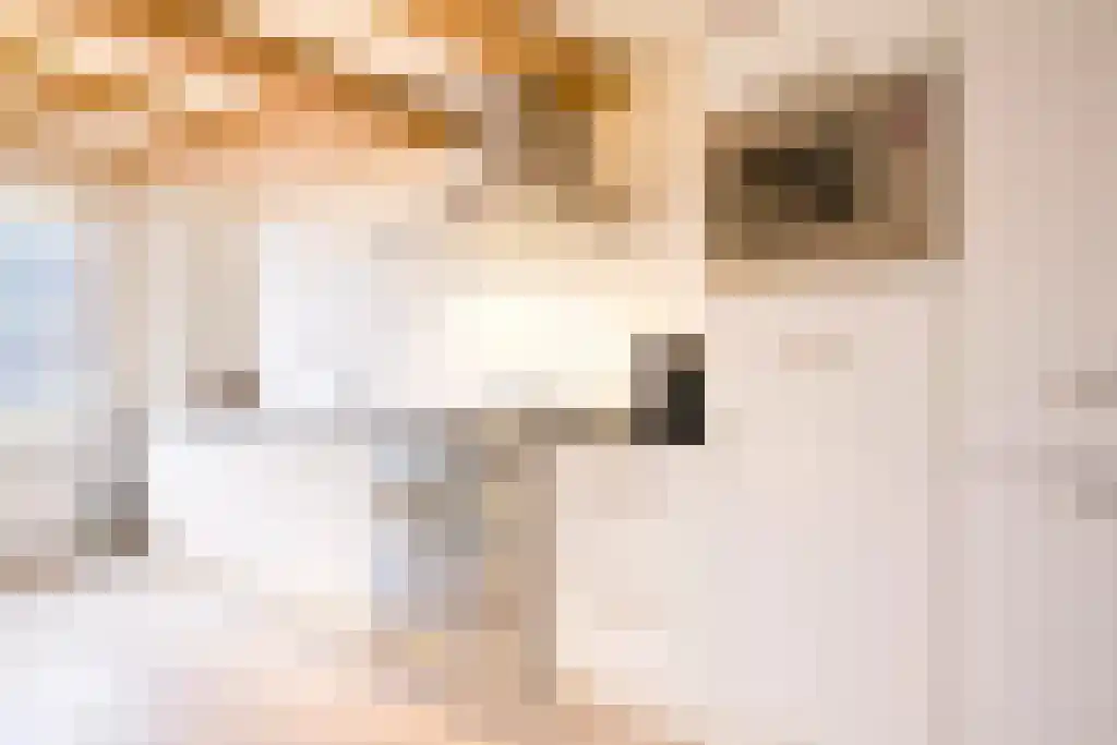 Singel 25 Amsterdam thumbnail 6