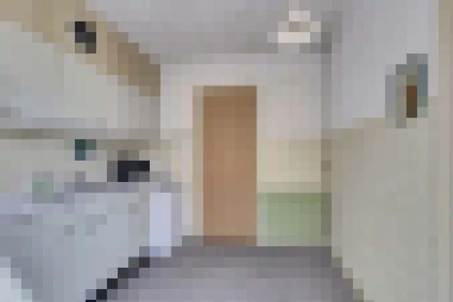 Singel 25 Domburg thumbnail 14