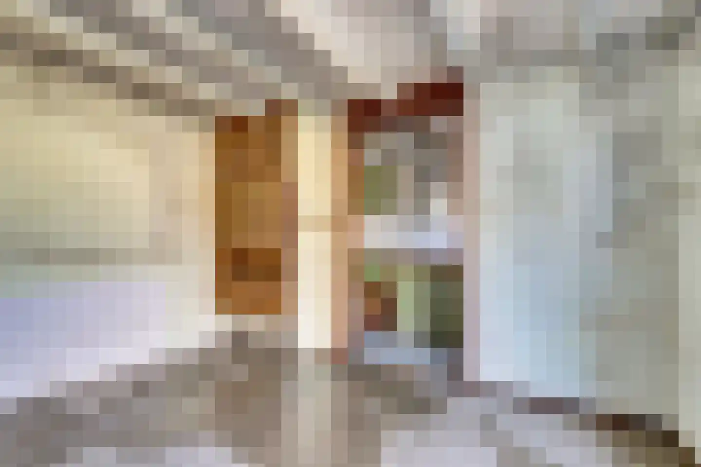 Singel 25 Domburg thumbnail 24