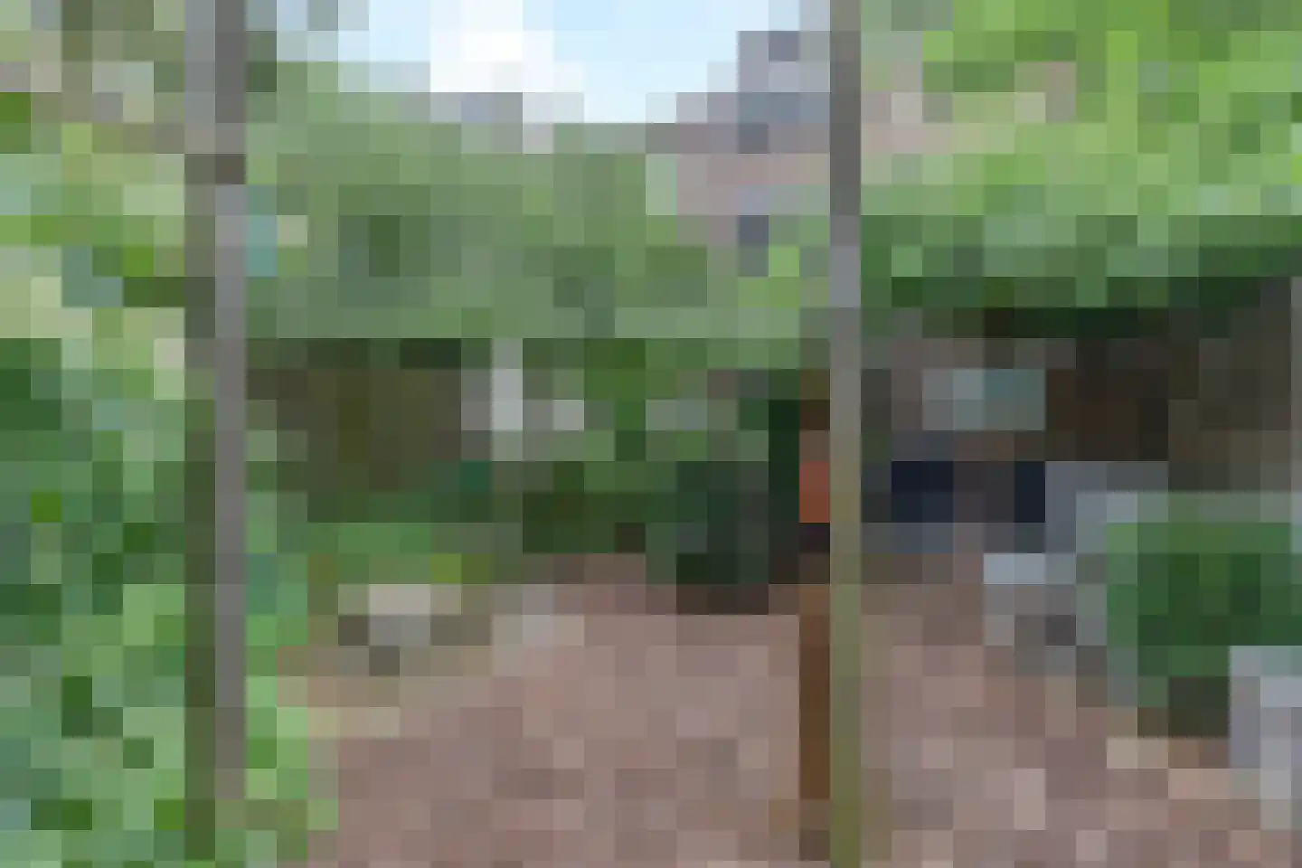 Singel 250 Dordrecht thumbnail 4