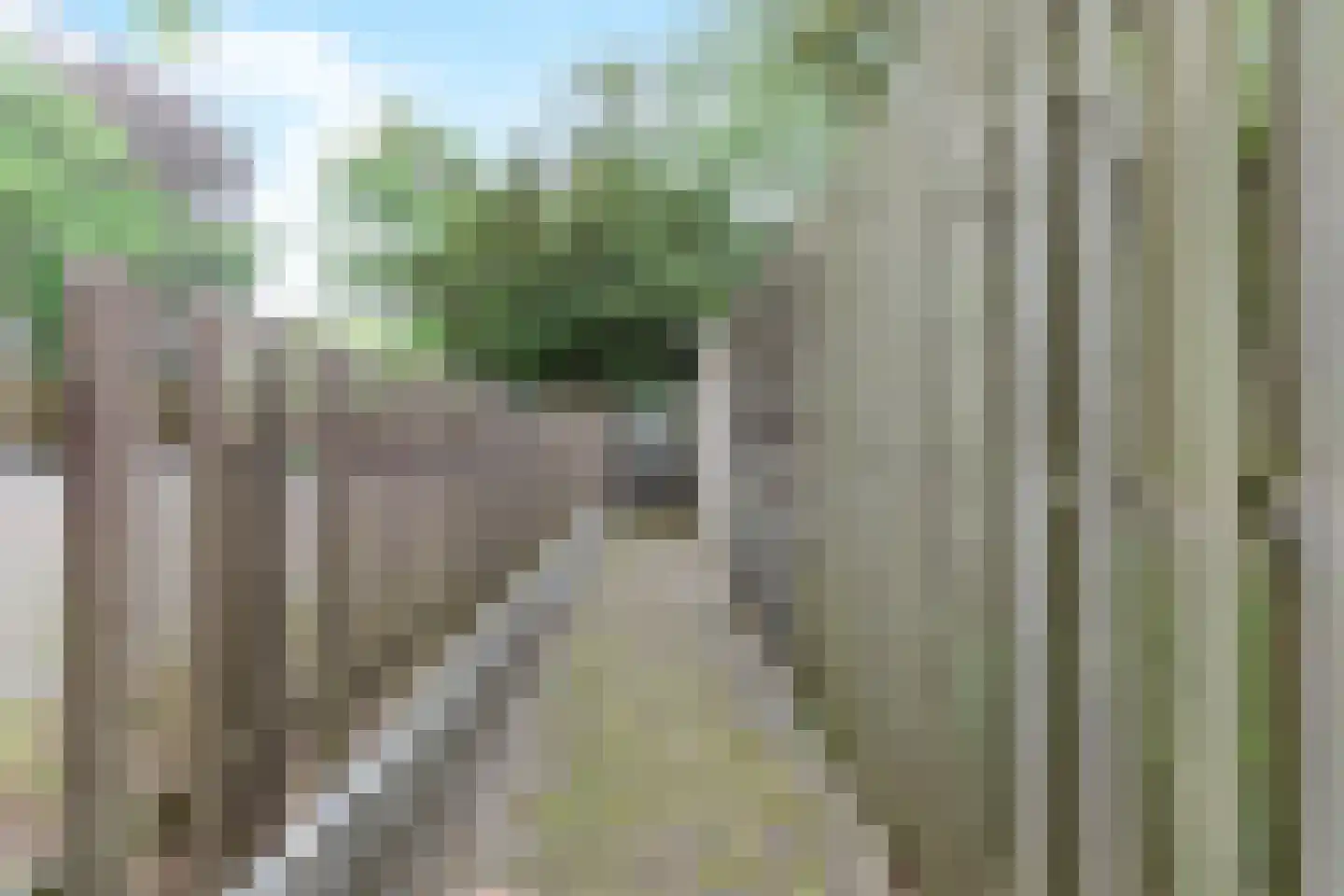 Singel 250 Dordrecht thumbnail 63
