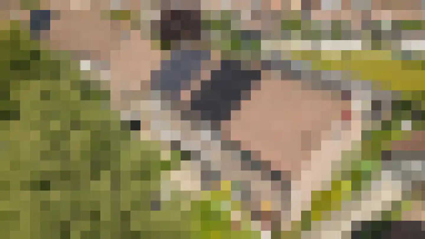 Singel 26 Nieuwendijk thumbnail 38