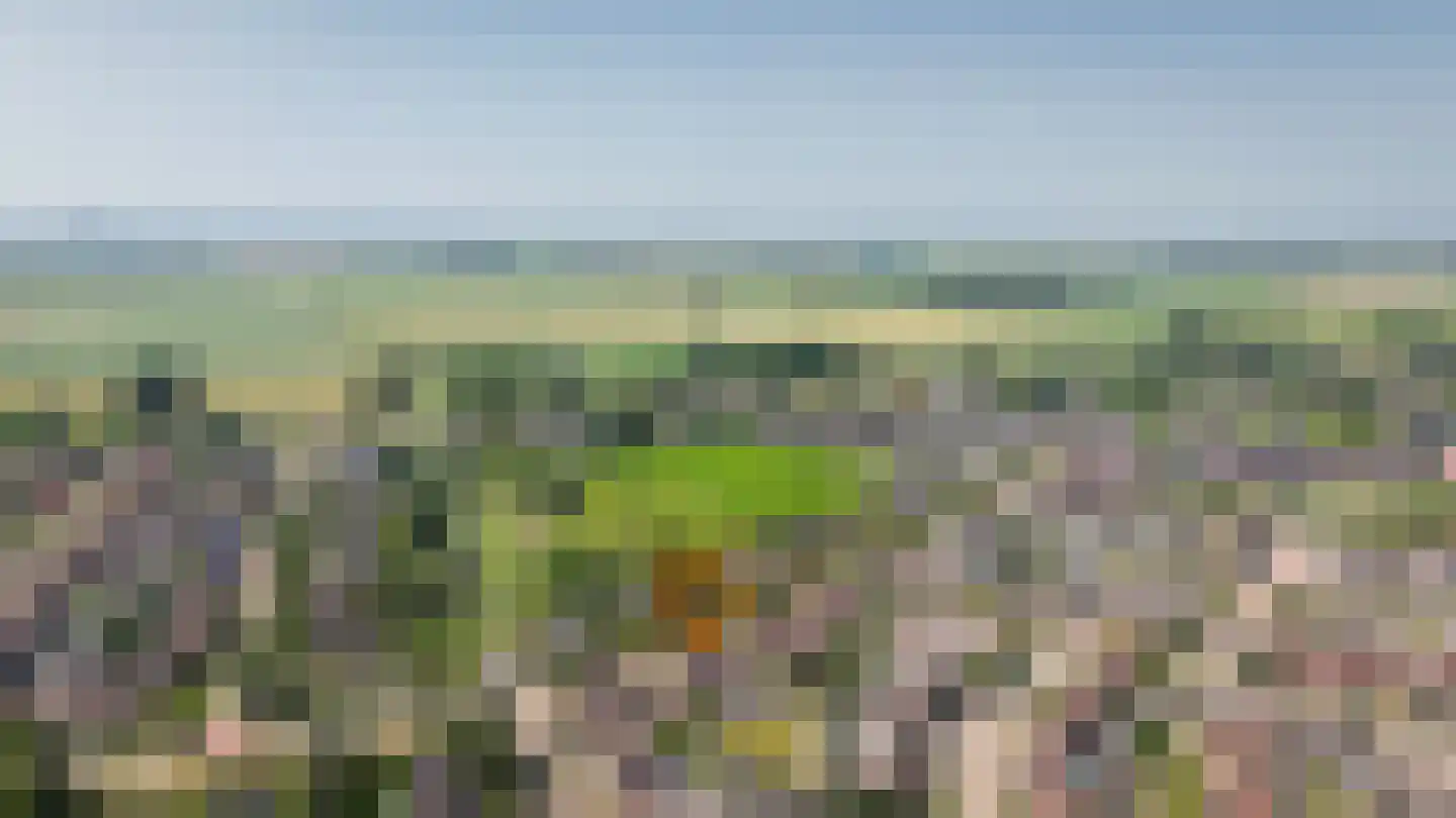 Singel 26 Nieuwendijk thumbnail 40