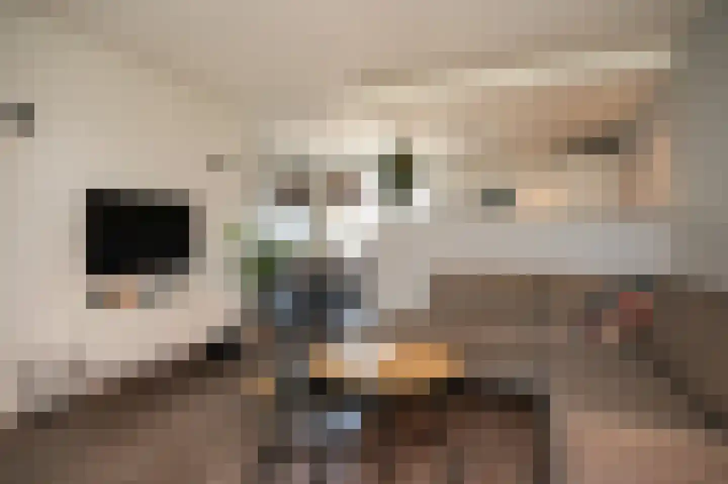 Singel 26 Nieuwendijk thumbnail 5