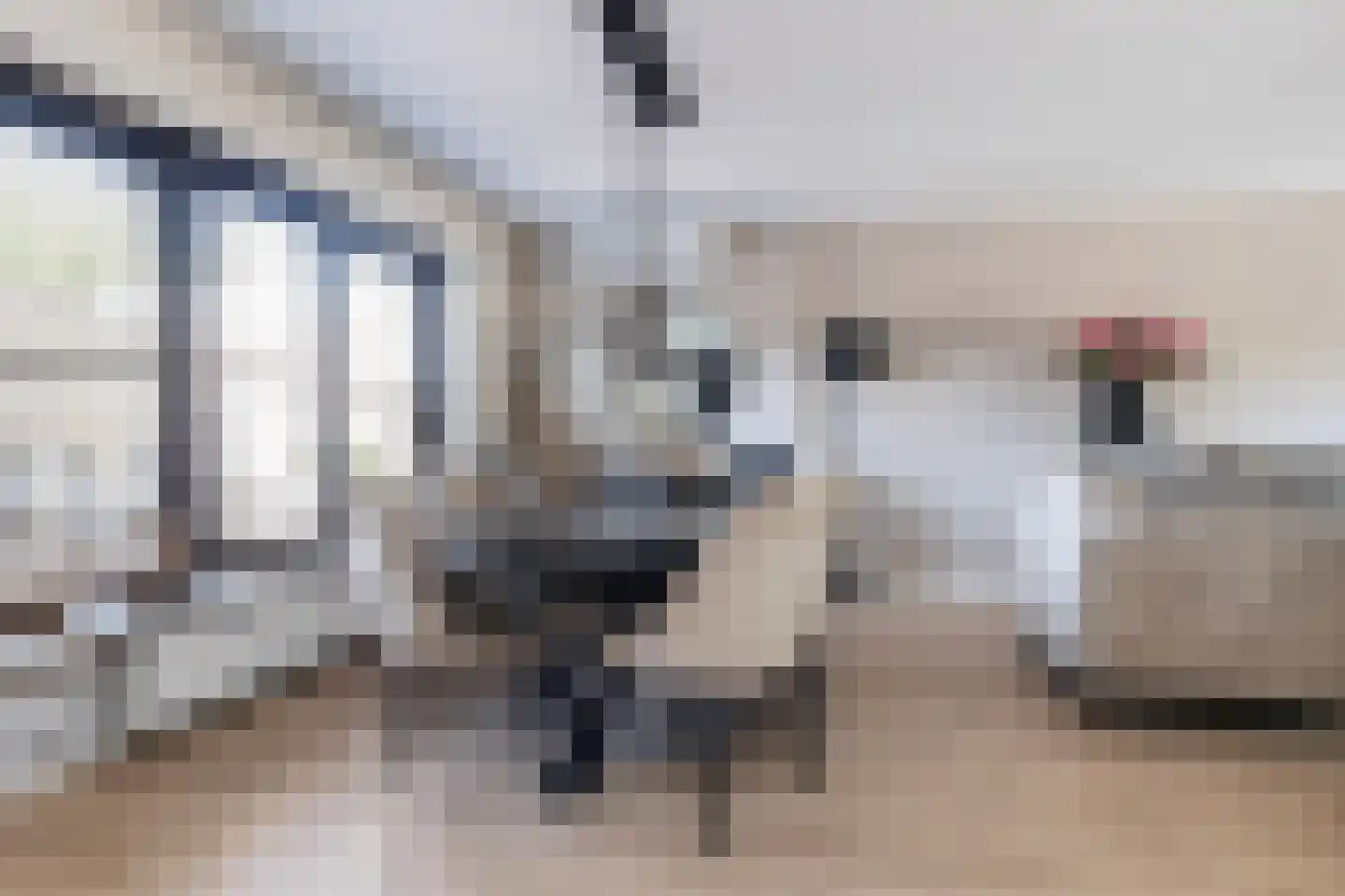 Singel 26 't Harde thumbnail 12