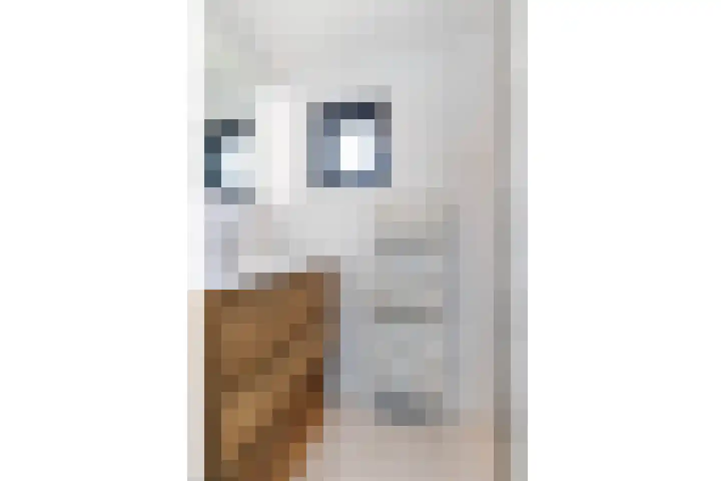 Singel 26 't Harde thumbnail 24