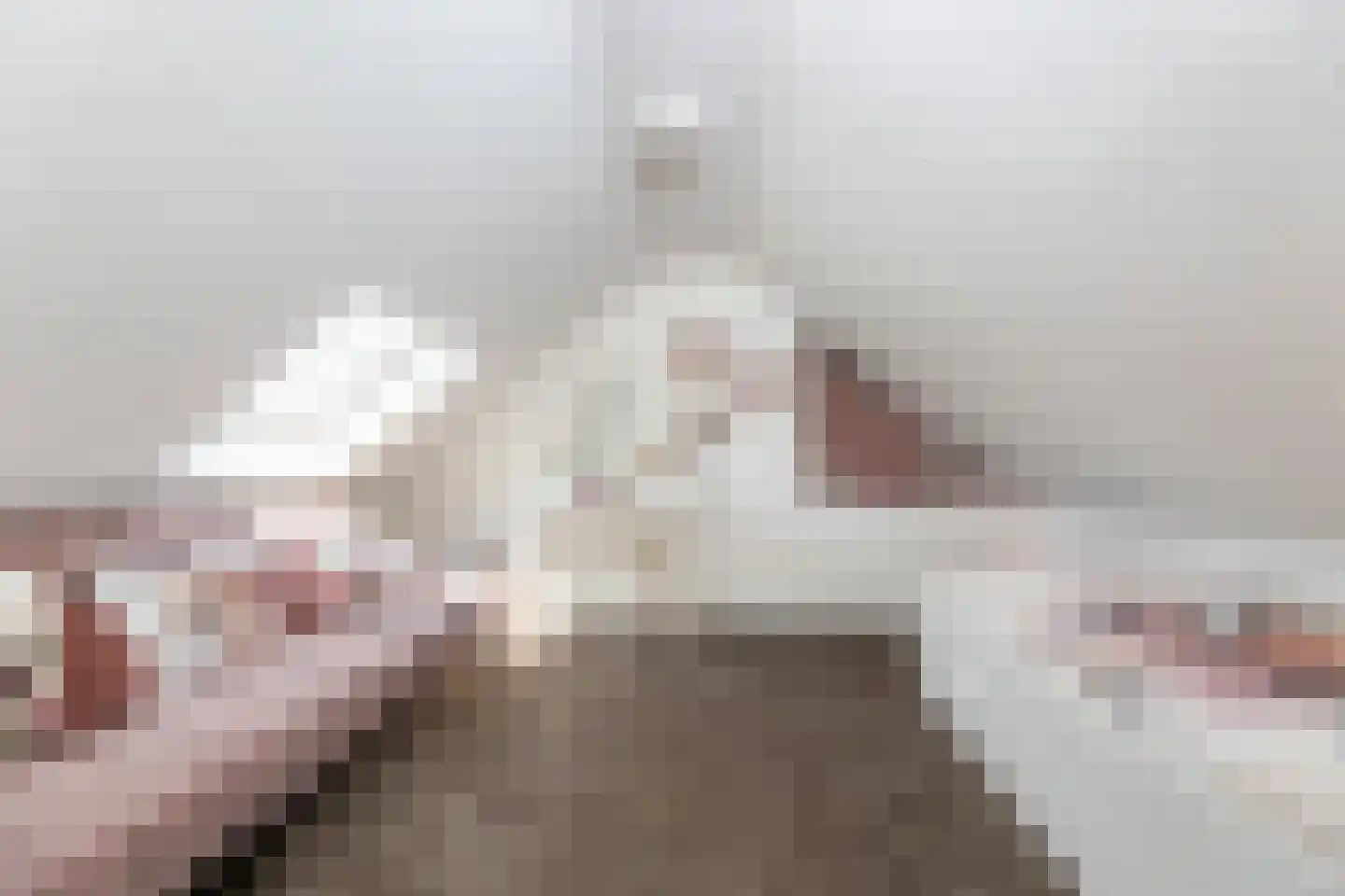Singel 26 't Harde thumbnail 27