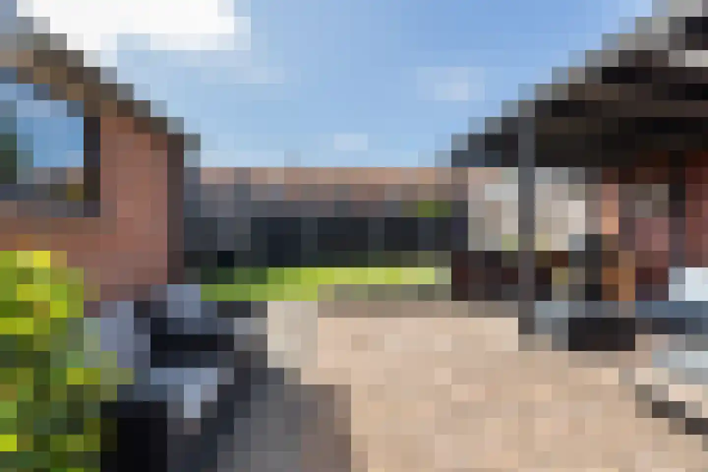 Singel 26 't Harde thumbnail 33