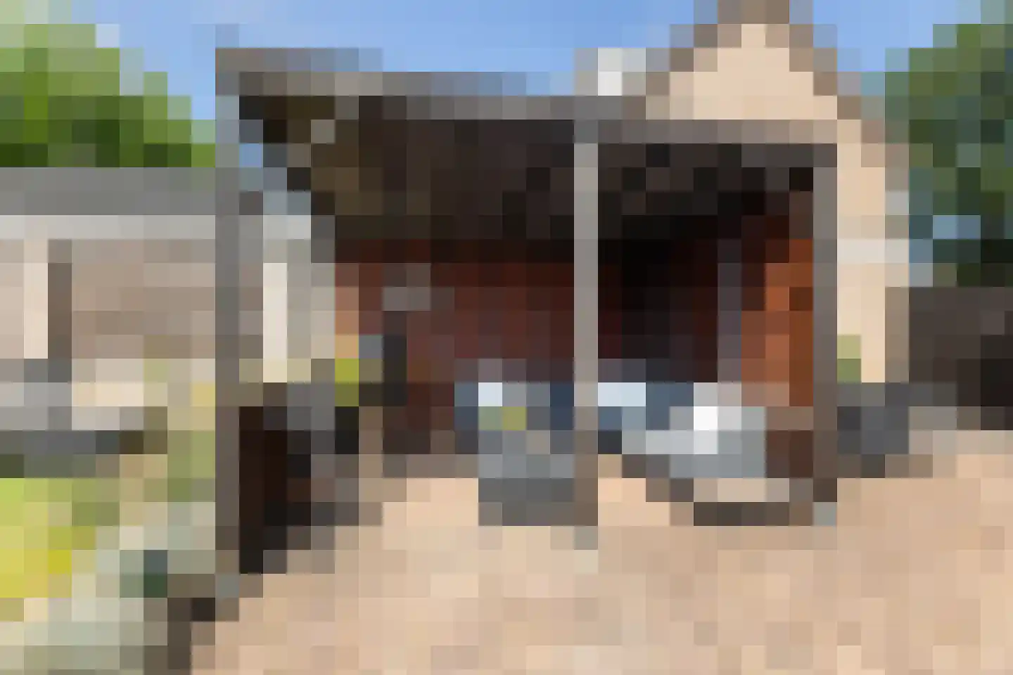Singel 26 't Harde thumbnail 34