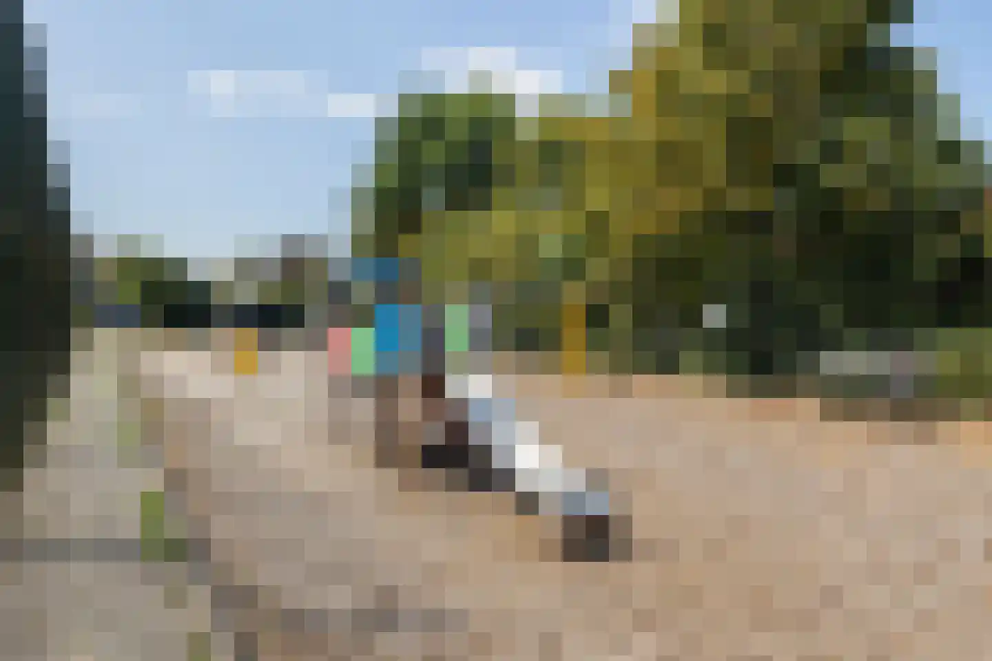 Singel 26 't Harde thumbnail 39