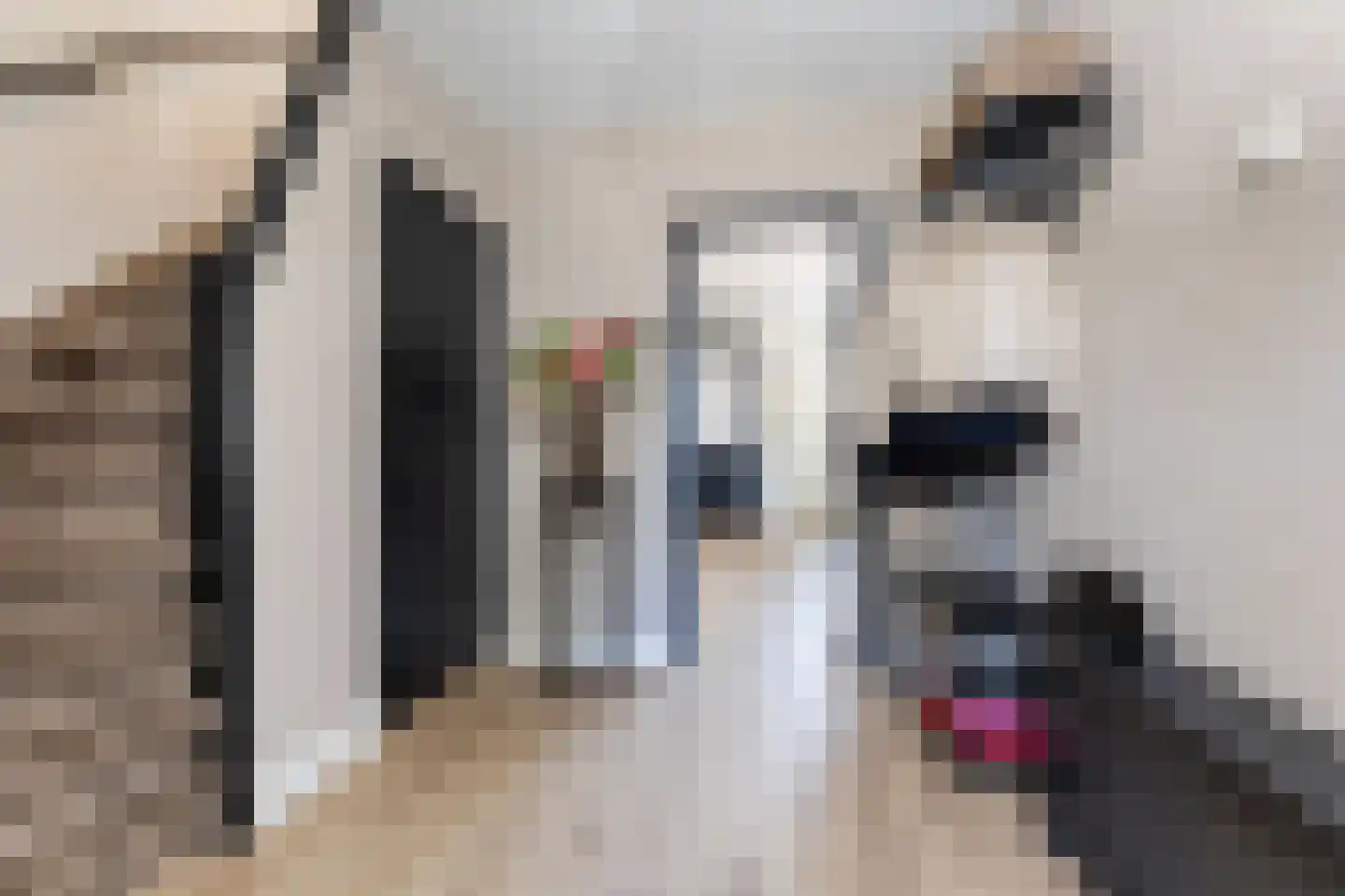 Singel 26 't Harde thumbnail 7