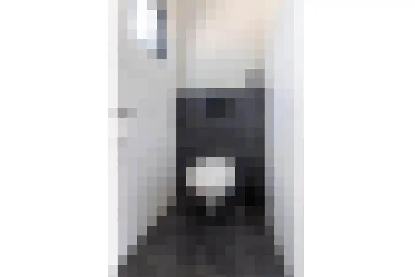 Singel 26 't Harde thumbnail 8