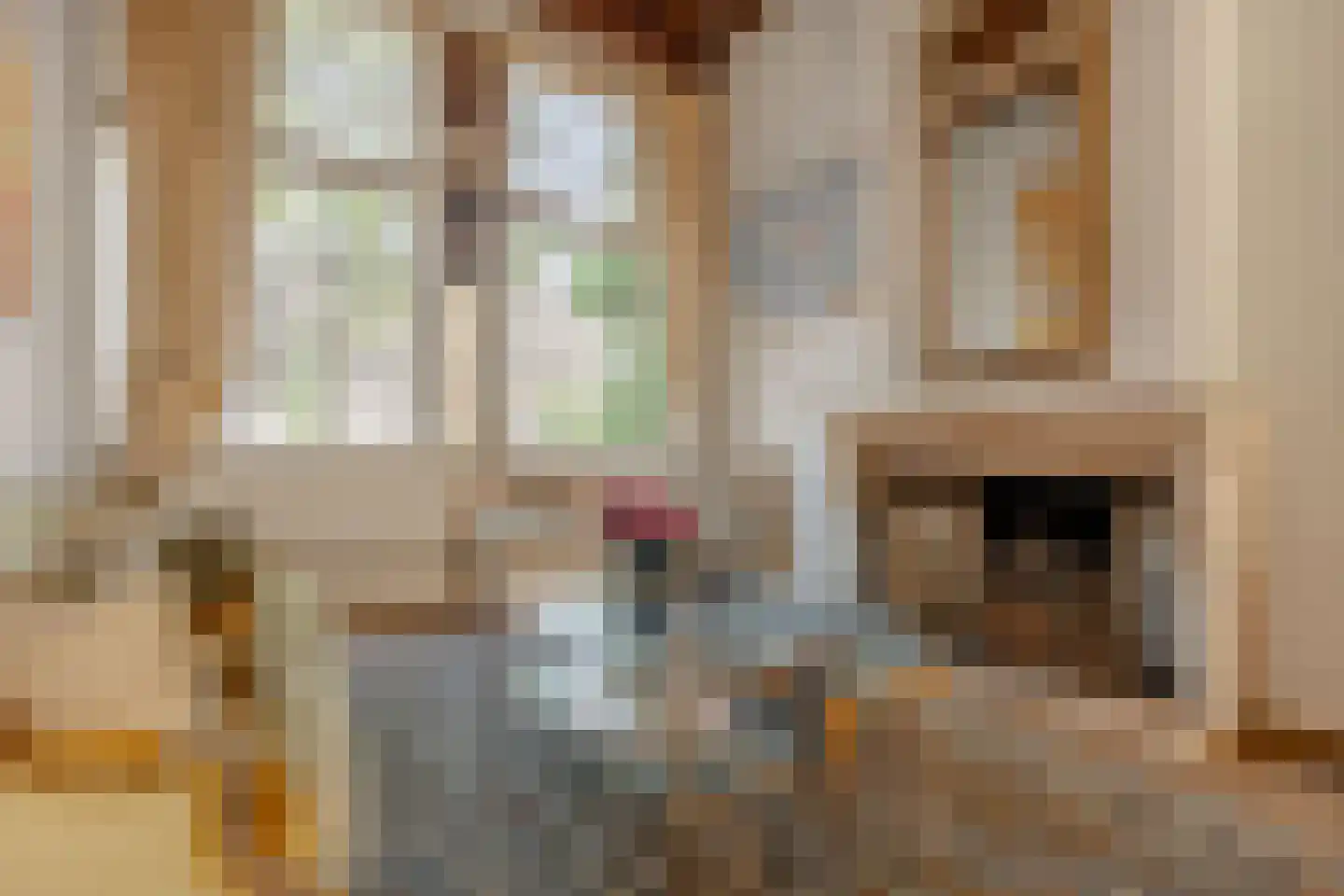 Singel 265 A Amsterdam thumbnail 13