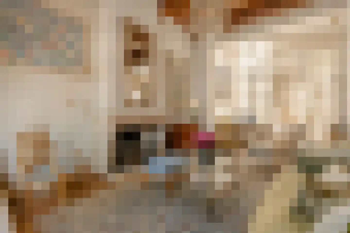 Singel 265 A Amsterdam thumbnail 16