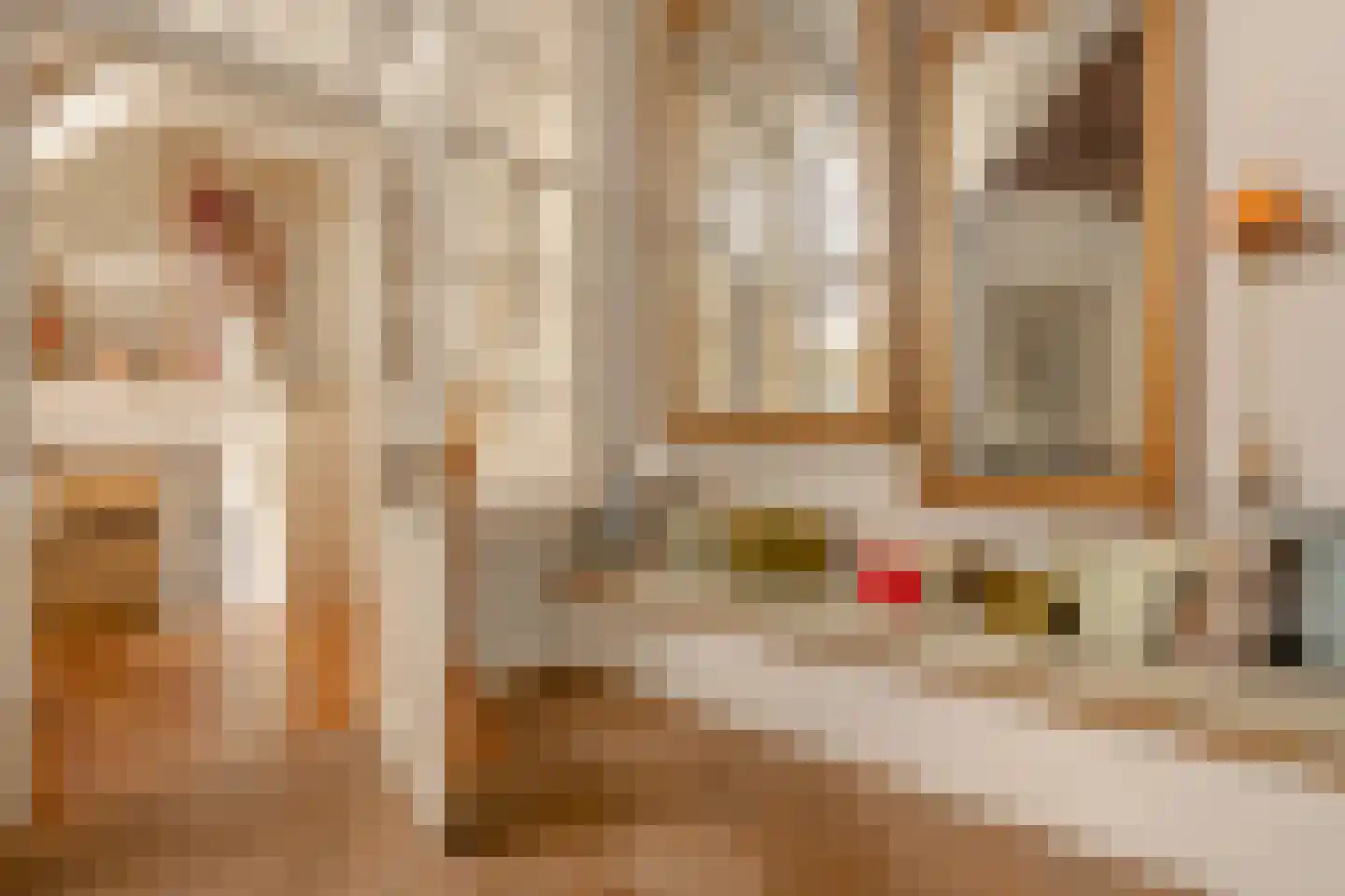 Singel 265 A Amsterdam thumbnail 19