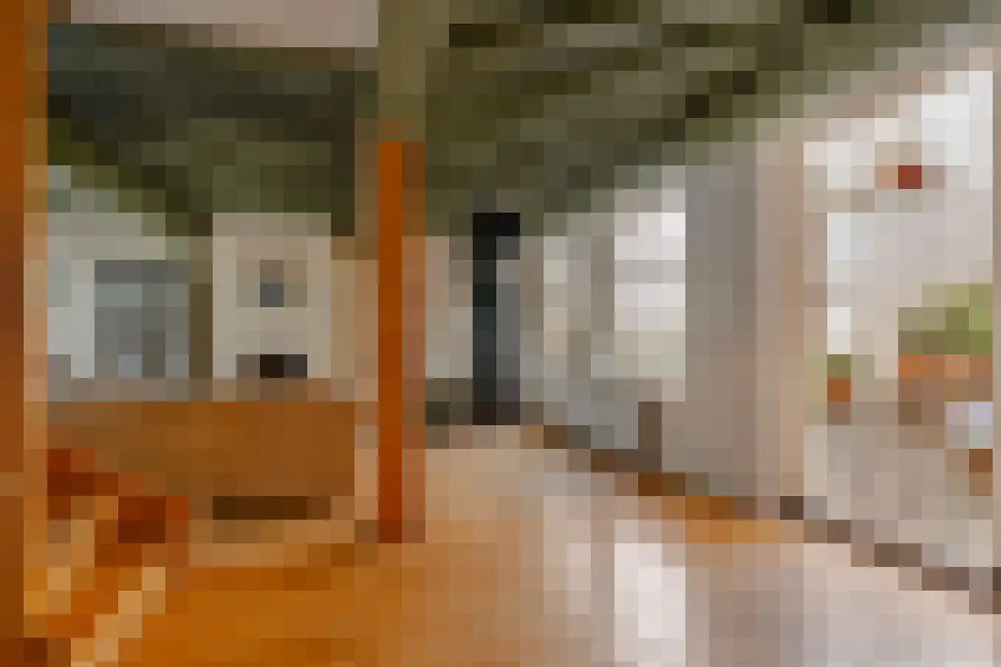 Singel 265 A Amsterdam thumbnail 41