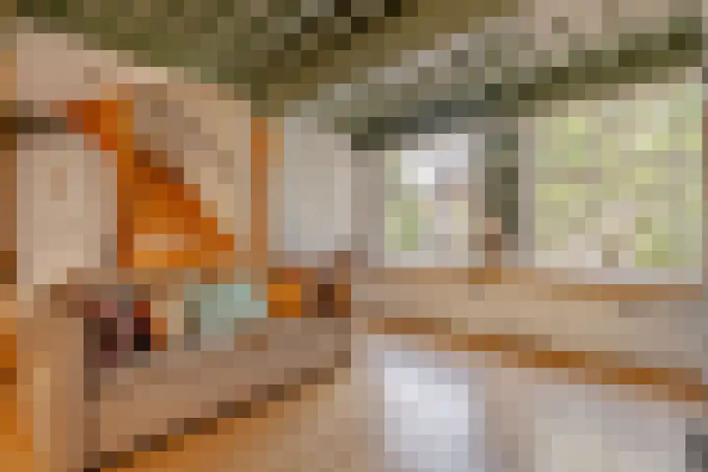 Singel 265 A Amsterdam thumbnail 43