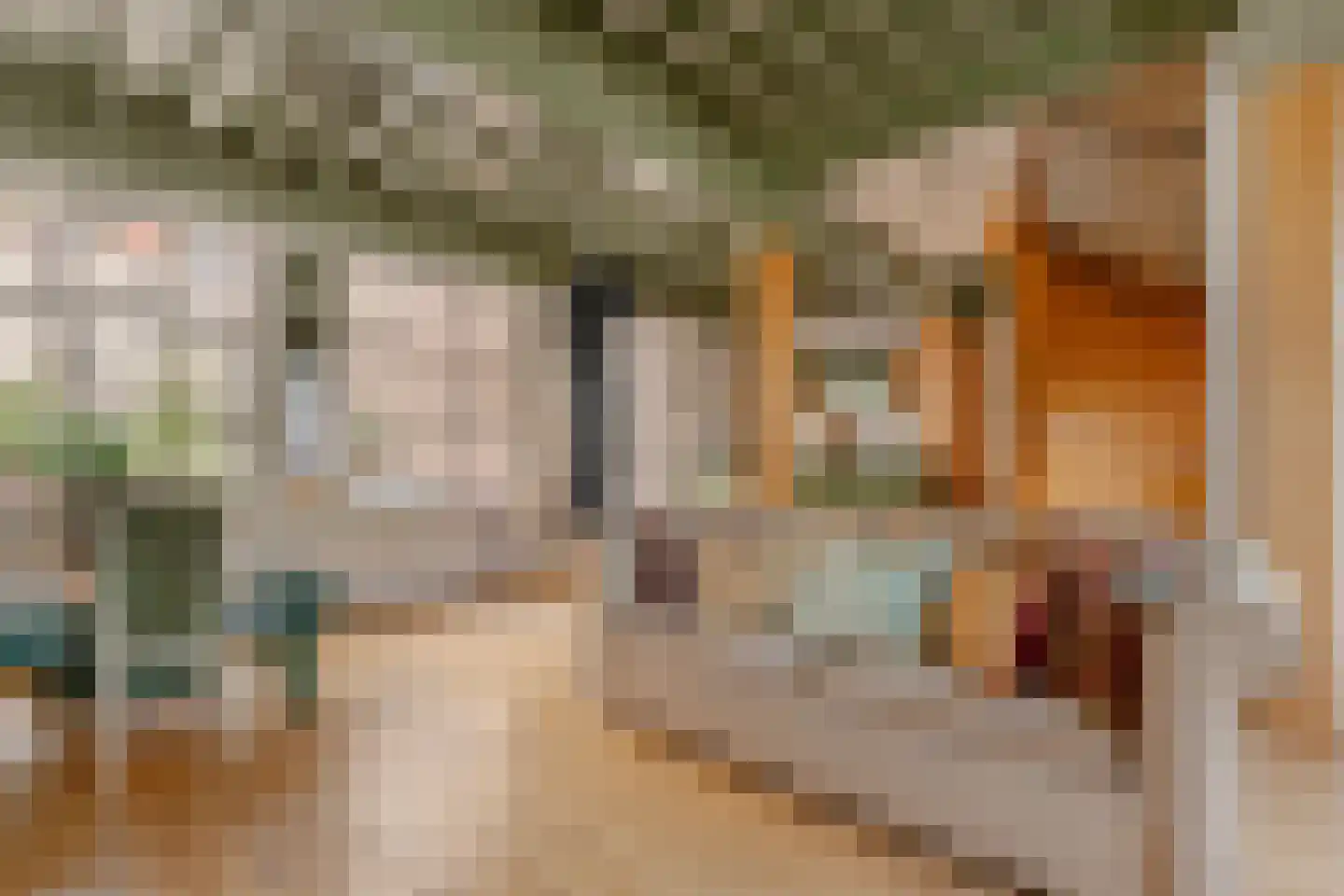 Singel 265 A Amsterdam thumbnail 44