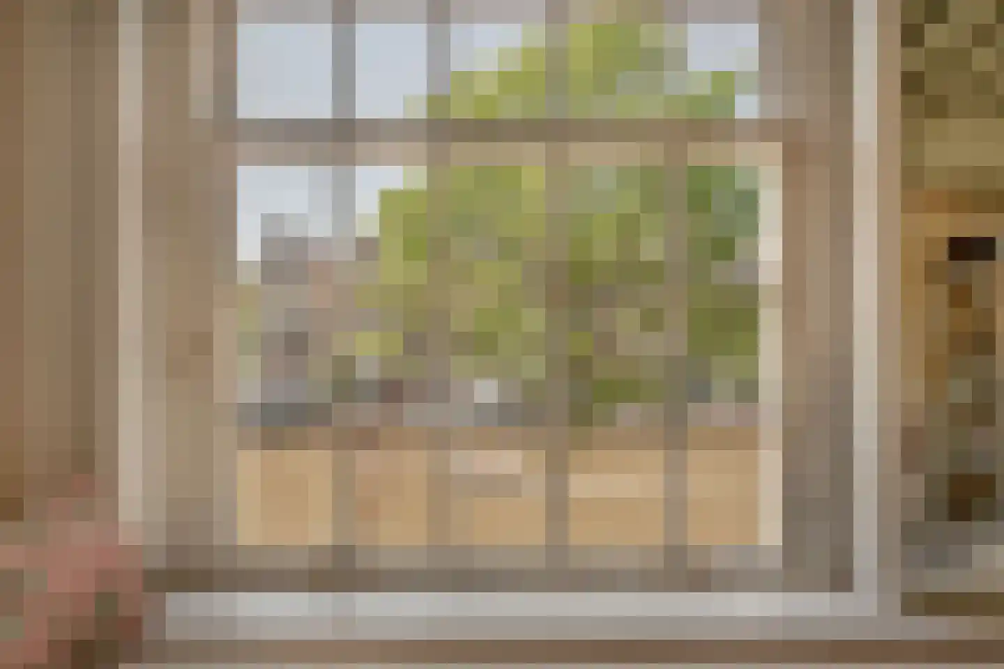 Singel 265 A Amsterdam thumbnail 47
