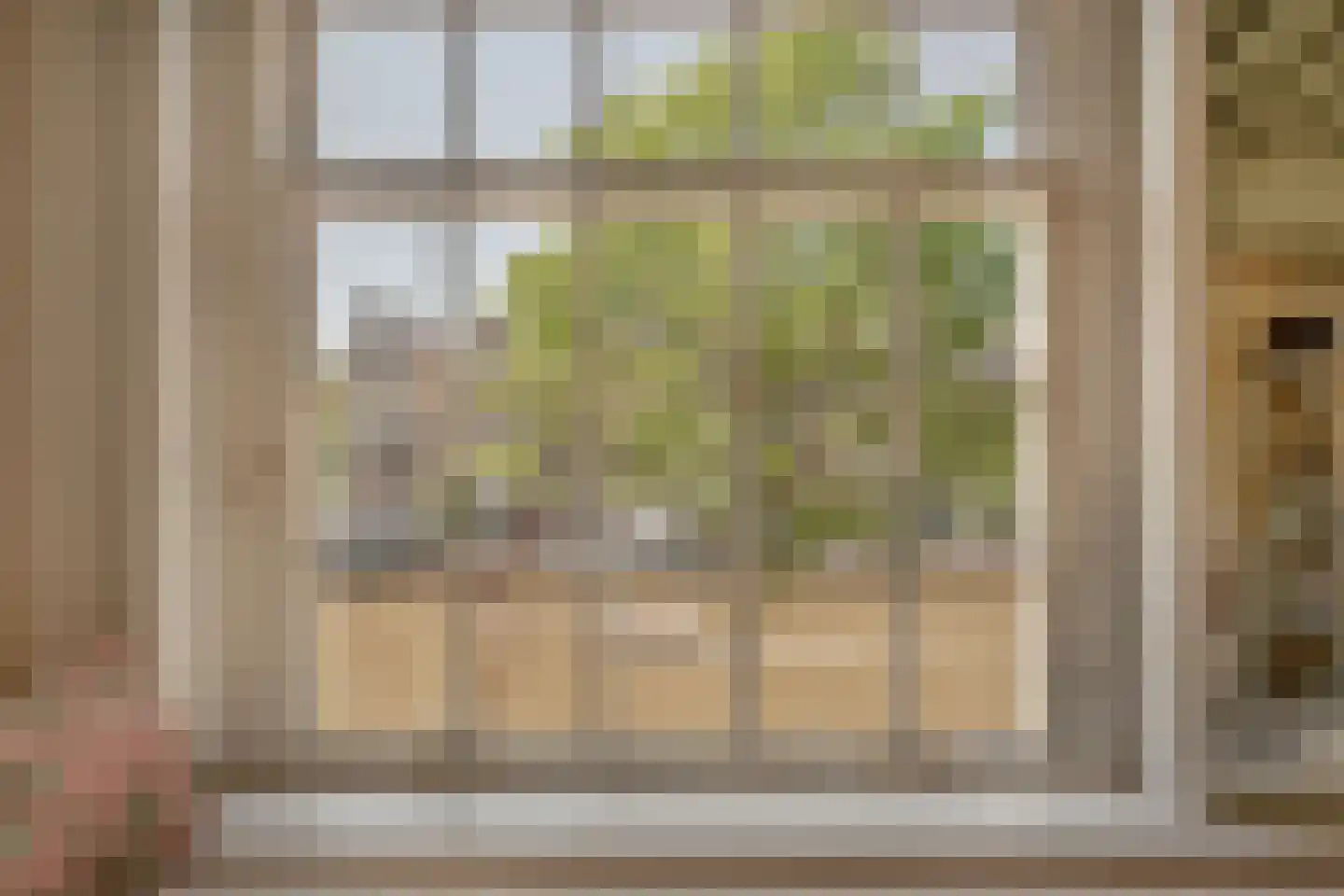 Singel 265 A Amsterdam thumbnail 47