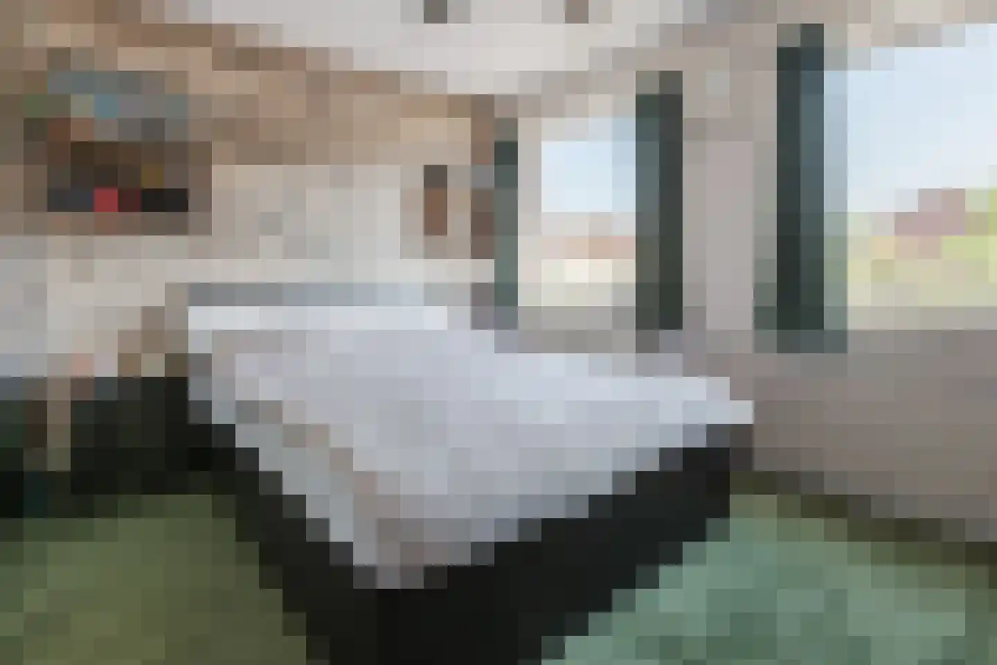 Singel 27 Hillegom thumbnail 19