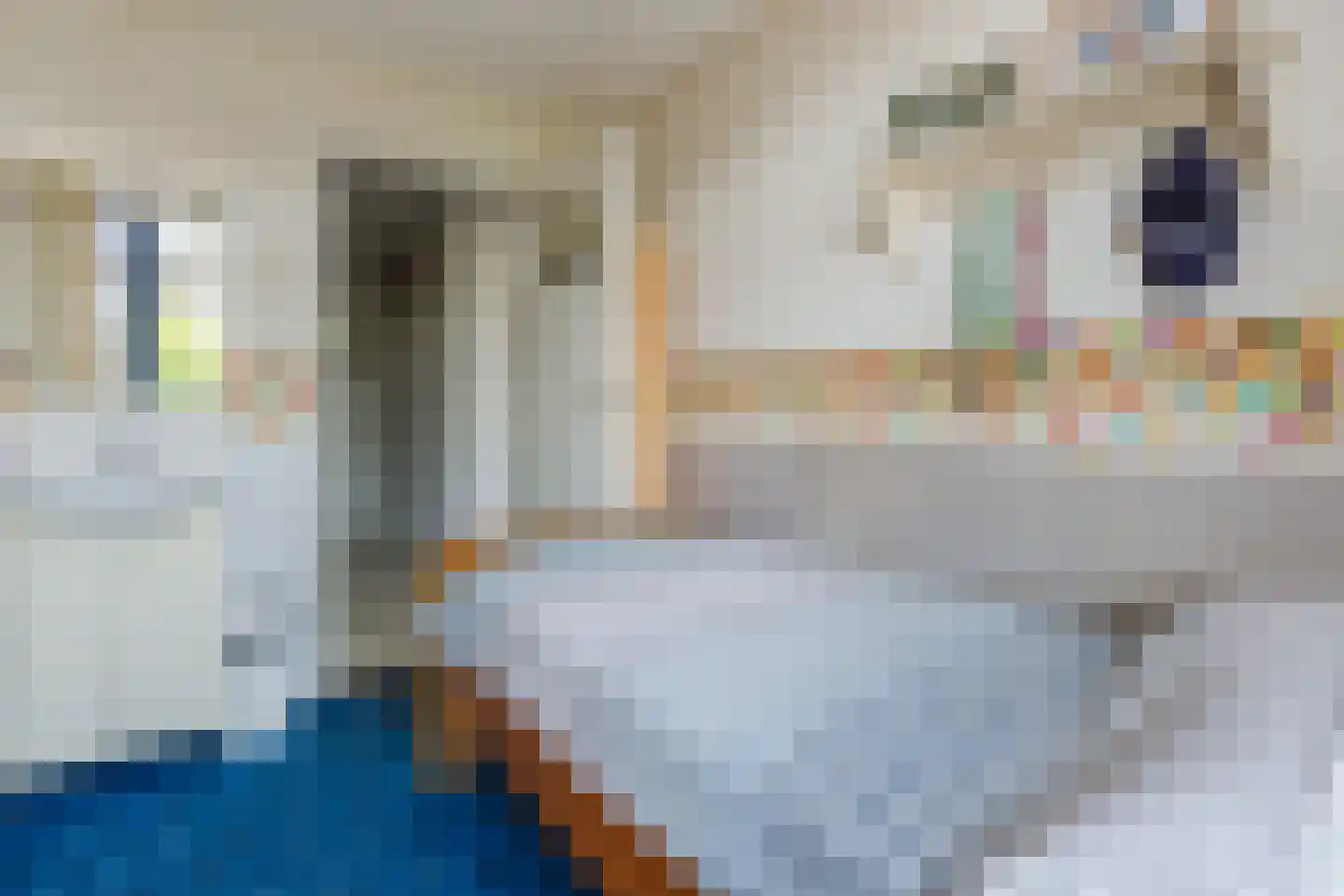 Singel 27 Hillegom thumbnail 21