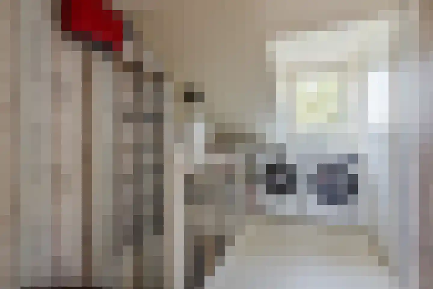 Singel 27 Hillegom thumbnail 28
